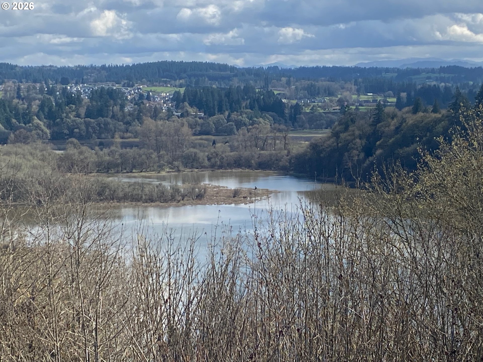 32215 Northwest Eagle Crest Drive Ridgefield, WA 98642 - Photo 28 of 36