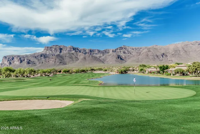 a view of a town with mountains in the background