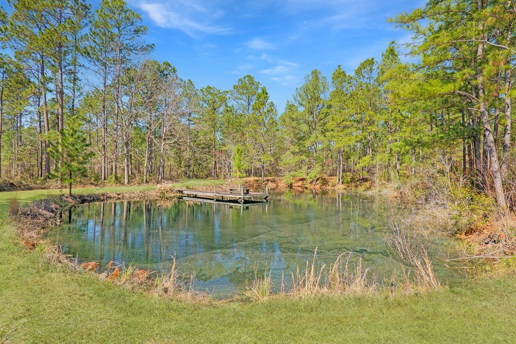 4938 Snake Nation Road Hahira, GA 31632 - Photo 72 of 85 Gallery Image 72