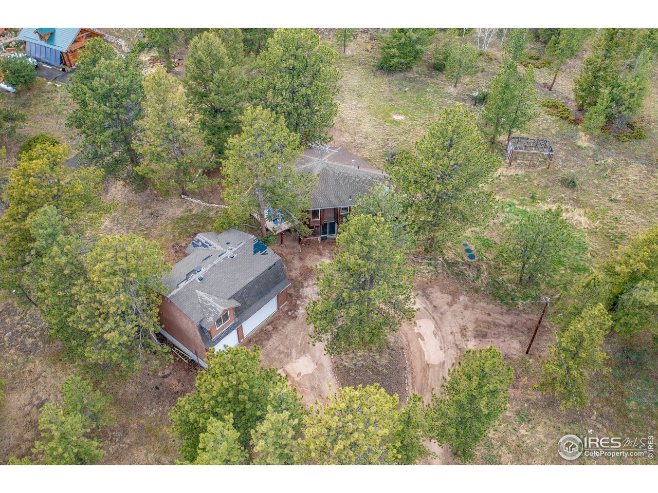 120 Bramer Road Ward, CO 80481 - Photo 30 of 39 Huge mature Ponderosas surround this home