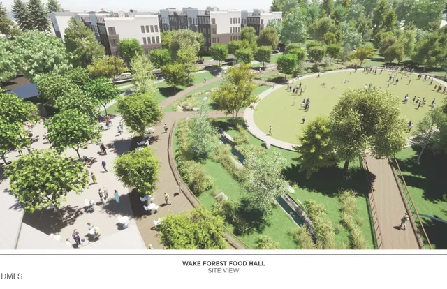 a black and white photo of a tree