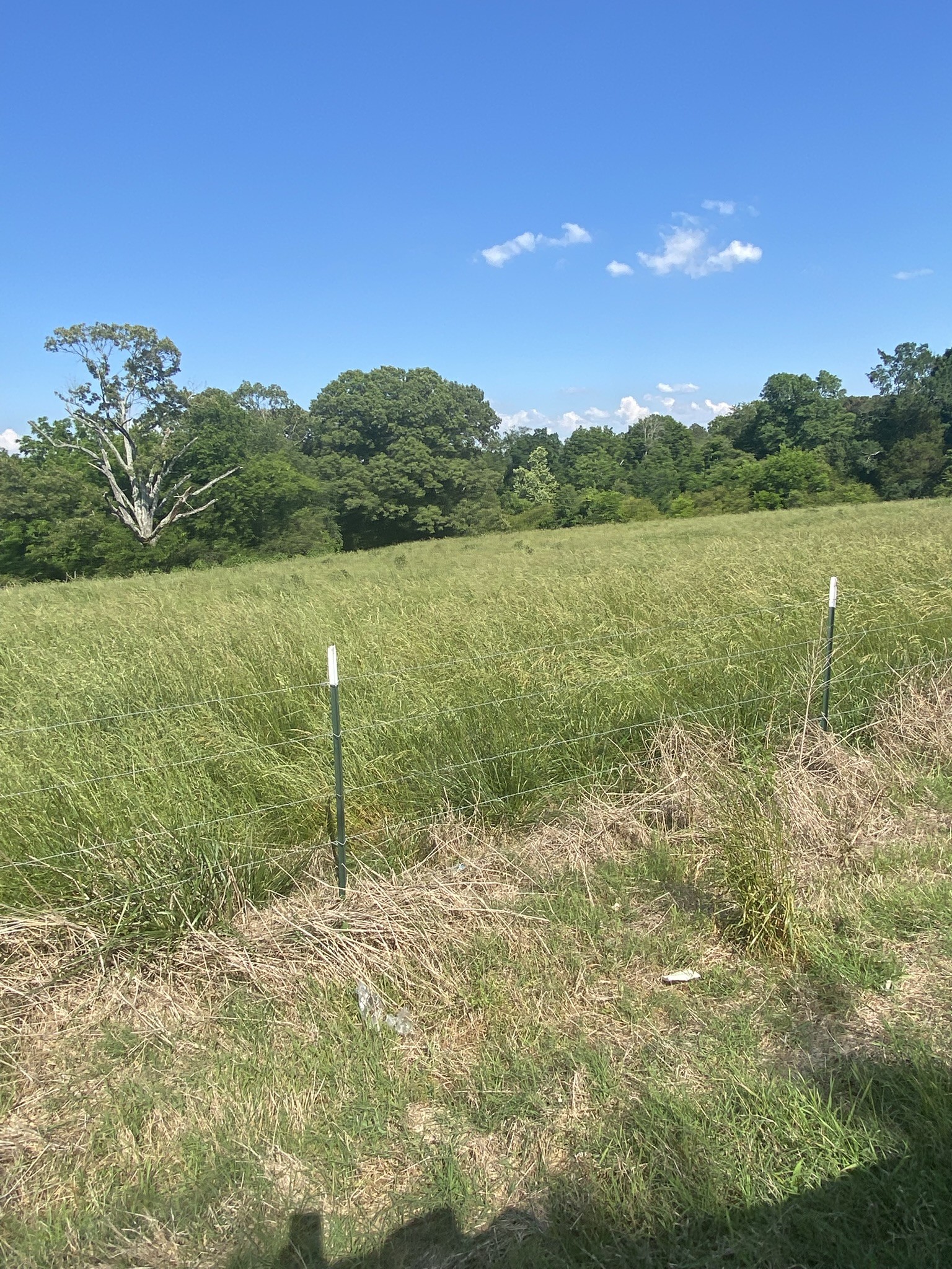 656 County Road Anderson, AL 35610 - Photo 11 of 15 a view of a lake with a big yard