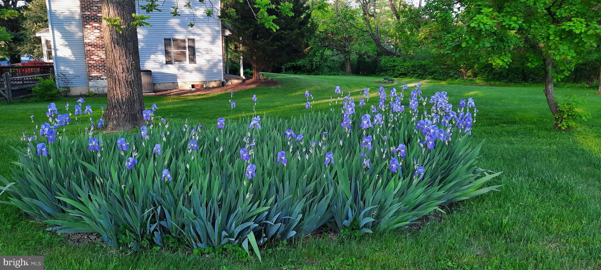 263 Southbank Road Landenberg, PA 19350 - Photo 3 of 40 Gallery Image 3