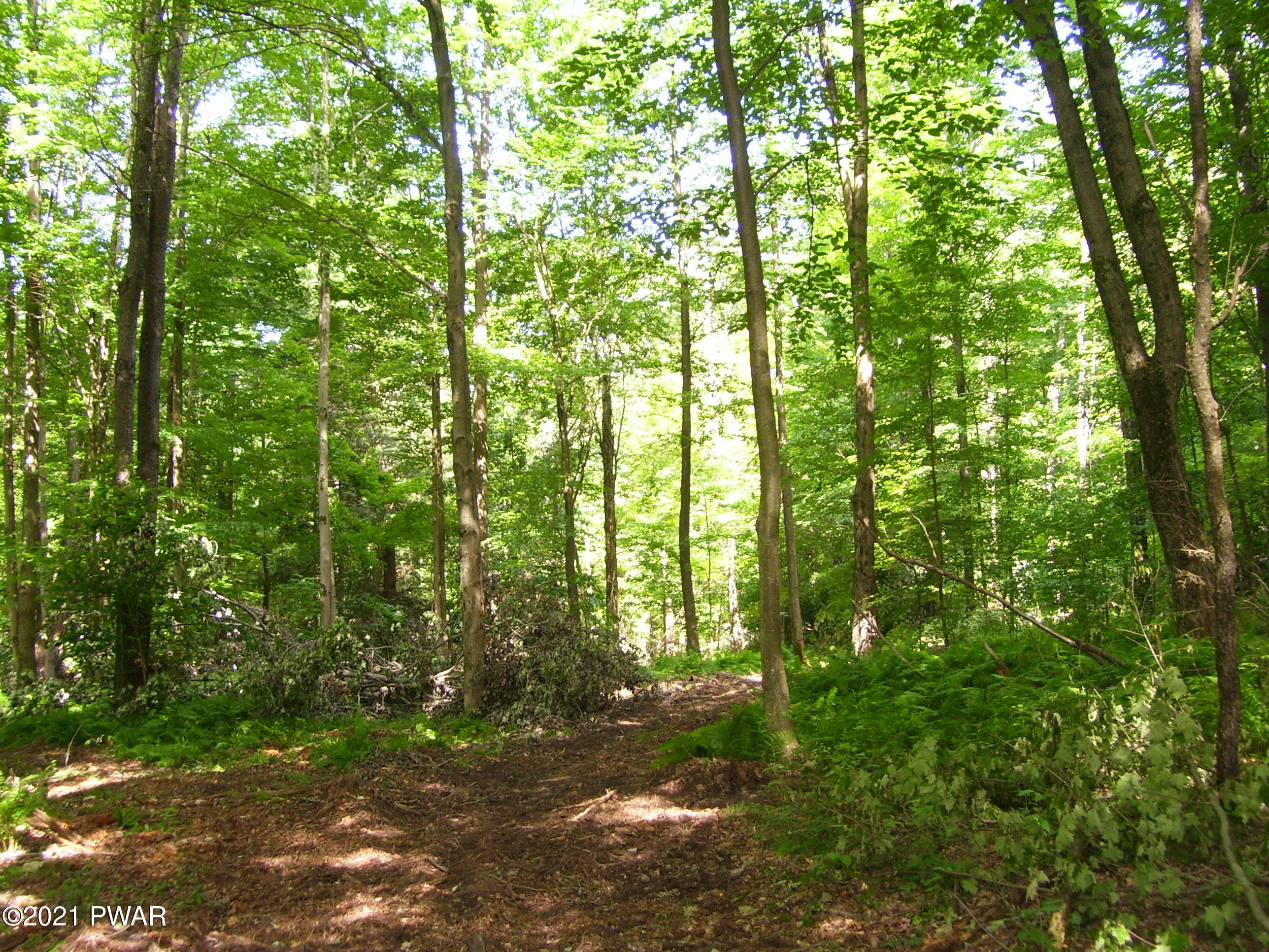 0 Forks Bridge Road Newfoundland, PA 18445 - Photo 10 of 16