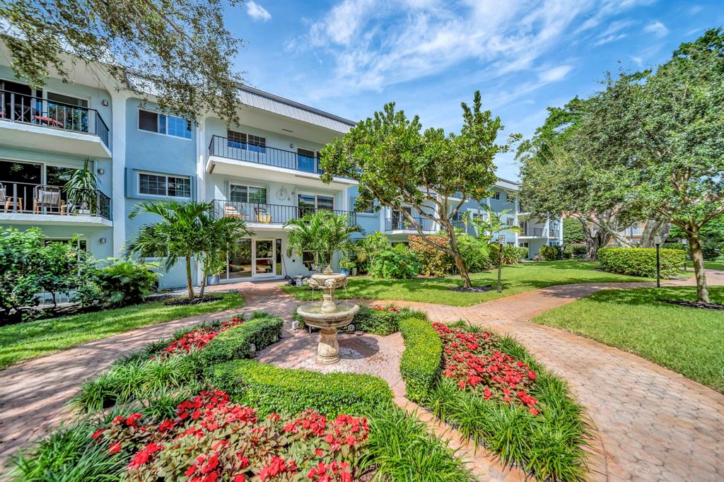 a view of a garden with plants and large trees