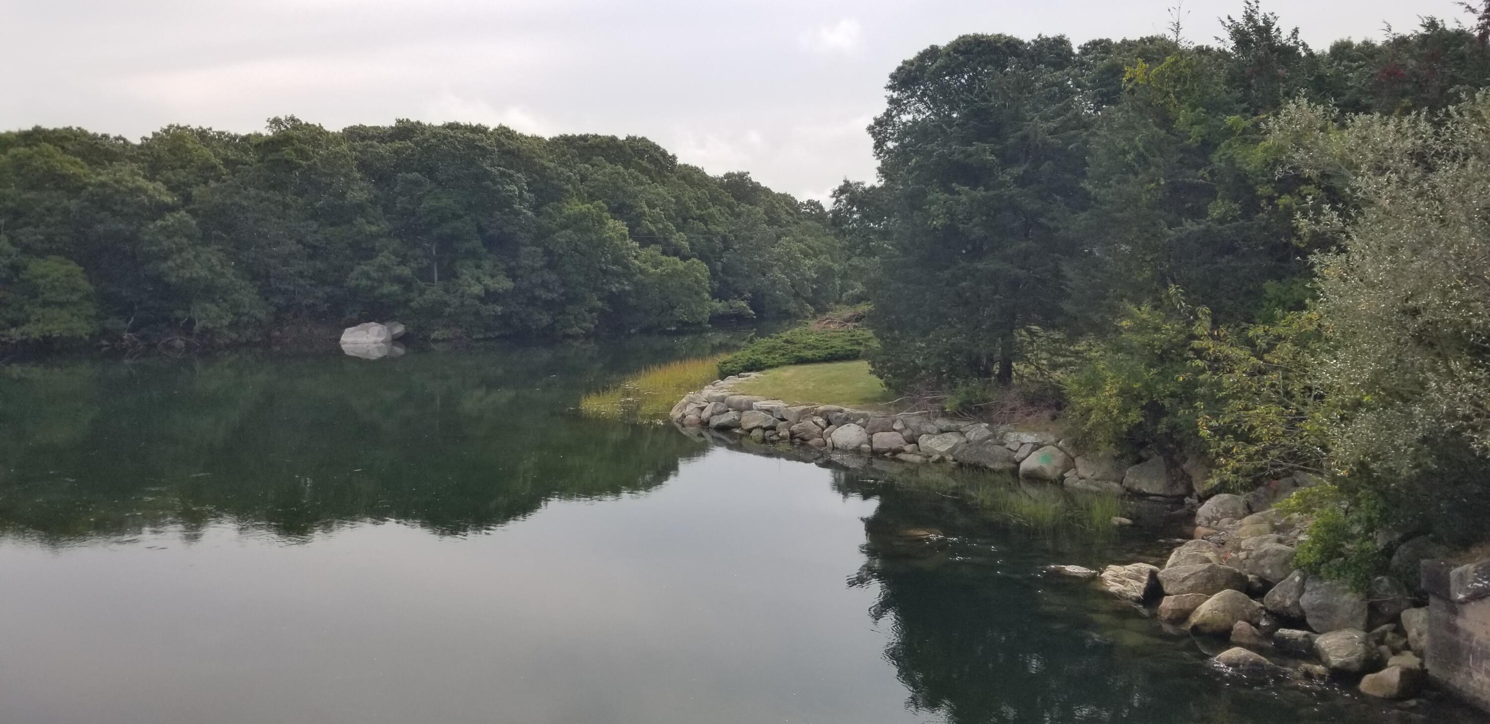 15 1st Street Bourne, MA 02559 - Photo 28 of 30 a view of a lake in middle of forest