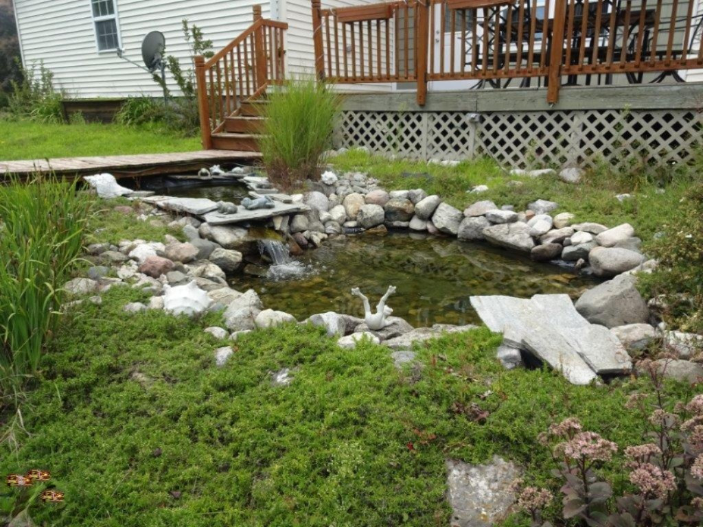 694 North Stiles Road Ludington, MI 49431 - Photo 43 of 50 Pond
