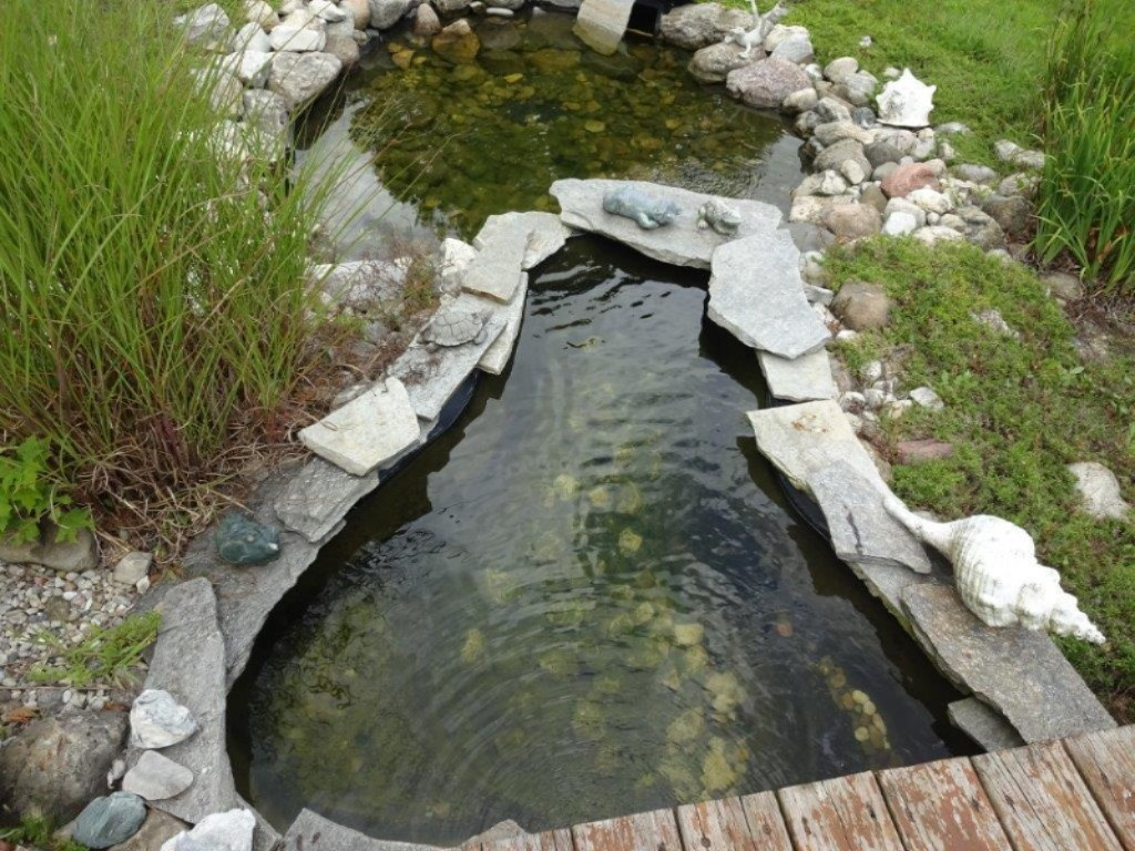 694 North Stiles Road Ludington, MI 49431 - Photo 44 of 50 pond