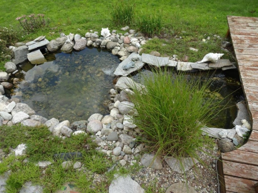 694 North Stiles Road Ludington, MI 49431 - Photo 45 of 50 pond
