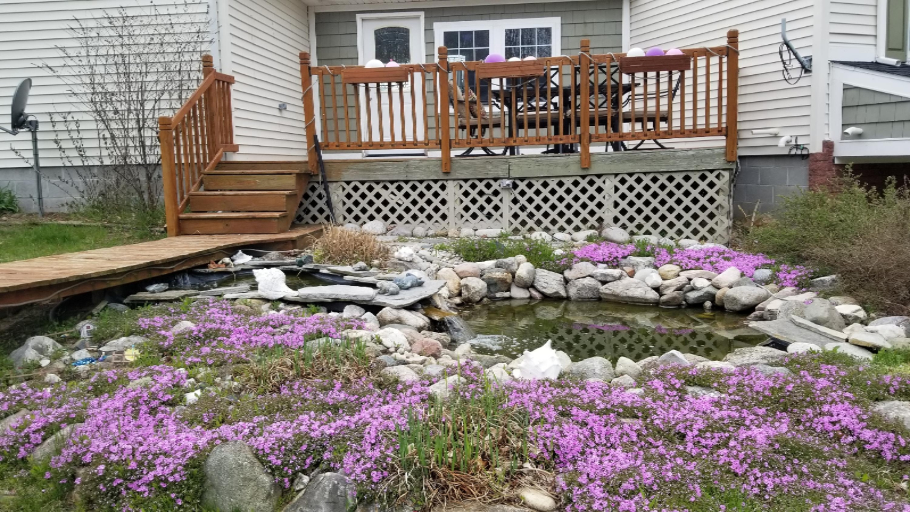 694 North Stiles Road Ludington, MI 49431 - Photo 5 of 50 Back Yard Pond 2