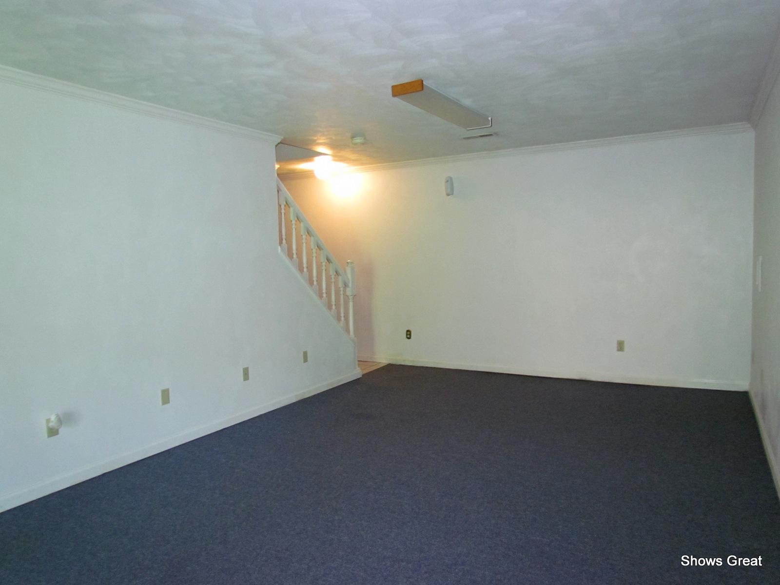 8513 Barrens Road Roanoke, VA 24019 - Photo 38 of 45 Lower level rec room