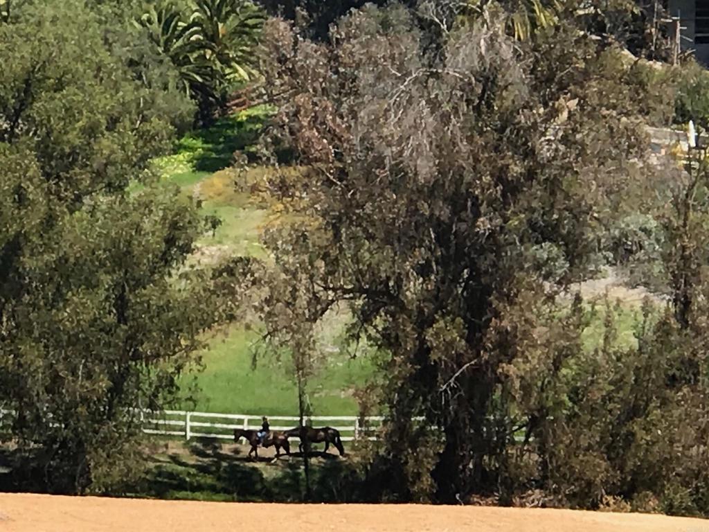 5470 La Crescenta Rancho Santa Fe, CA 92067 - Photo 5 of 7 a view of outdoor space and yard