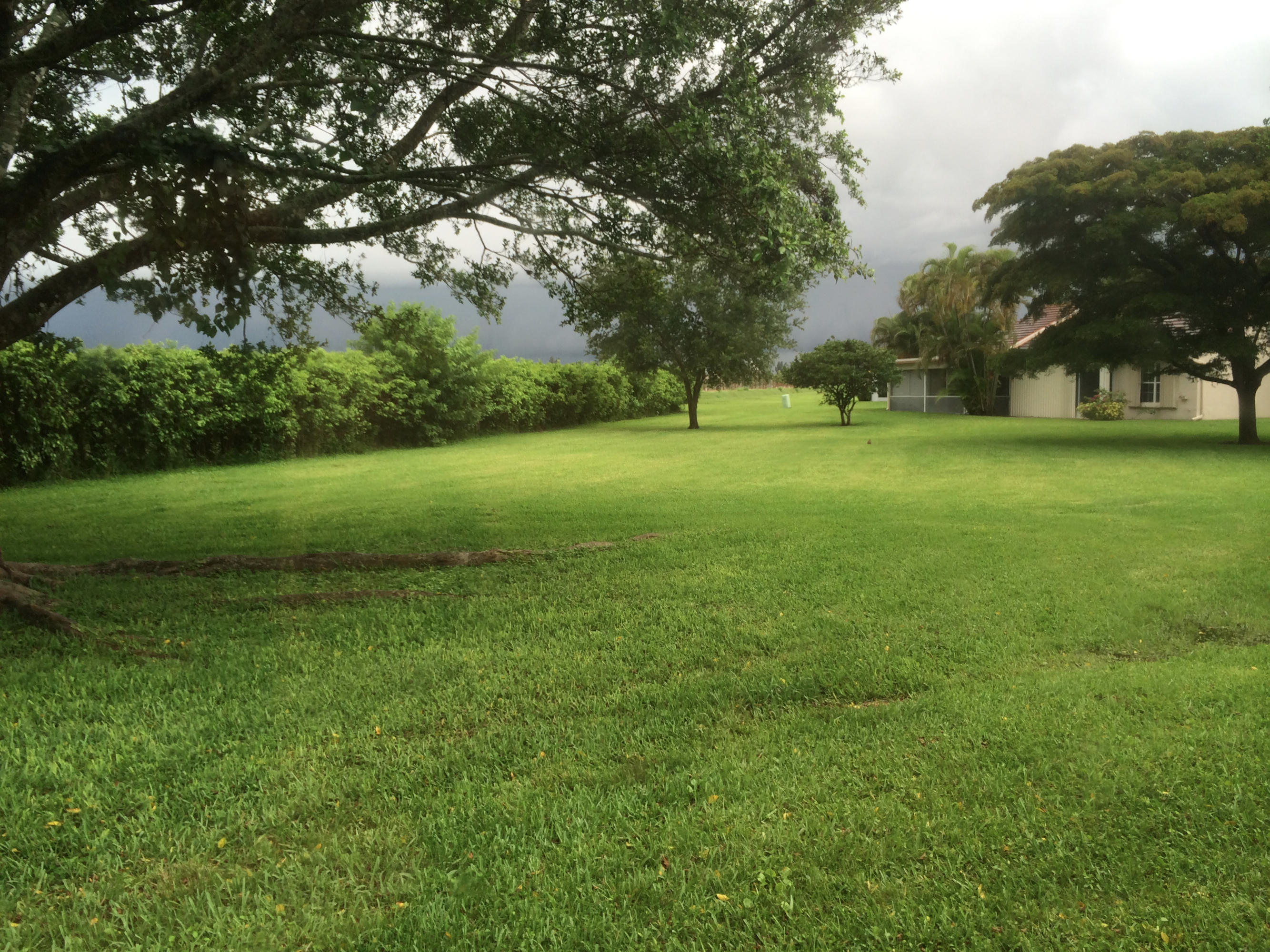 7540 Diamond Pointe Circle Delray Beach, FL 33446 - Photo 17 of 18 a view of a field of trees and grass