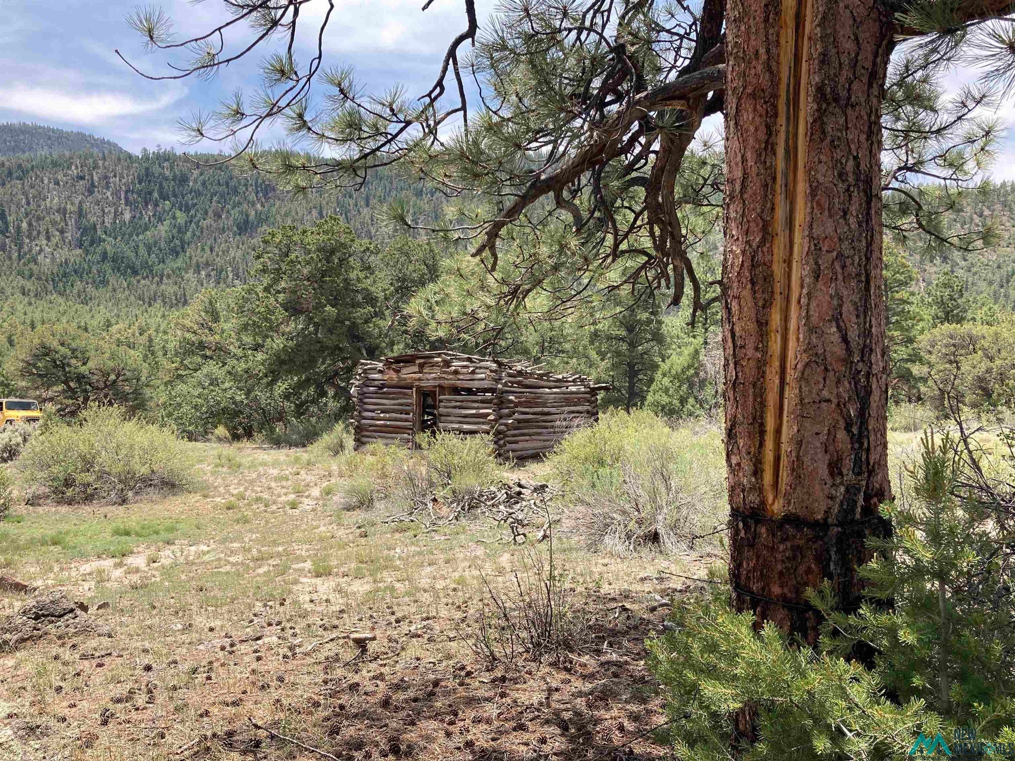 1 Forest Rd100 Road Canones, NM 87516 - Photo 35 of 39 Gallery Image 35