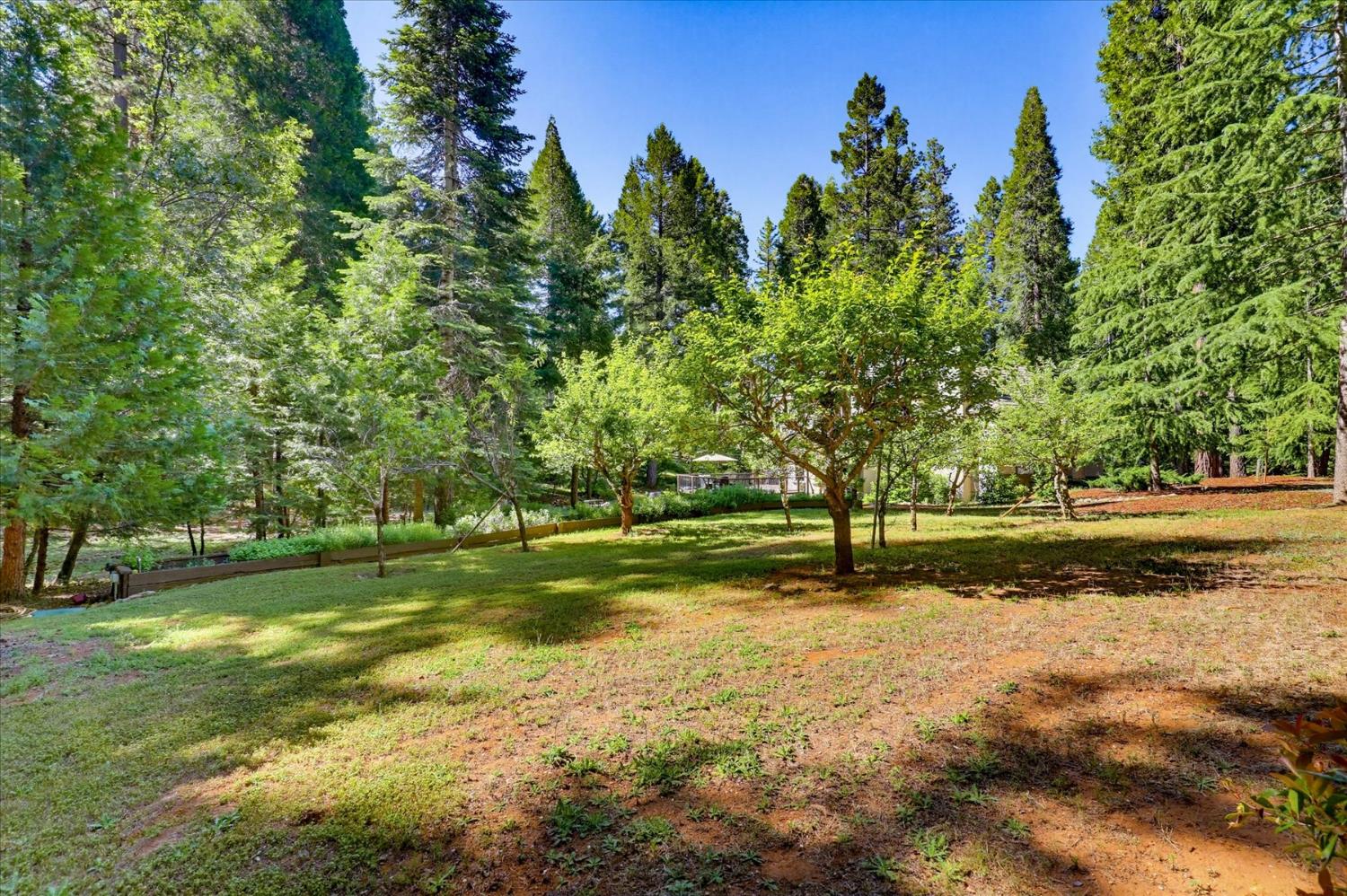 19217 Scotts Flat Road Nevada City, CA 95959 - Photo 87 of 89