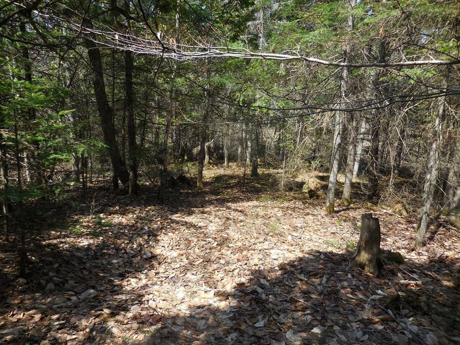 0 Coboro Road Stetson, ME 04488 - Photo 8 of 24 Photo