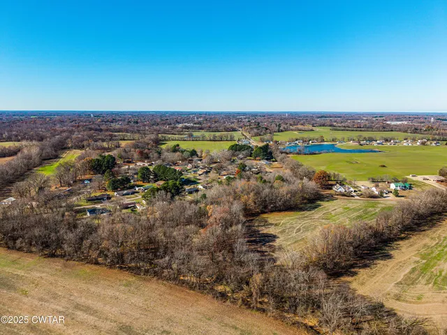 a view of a forest with trees