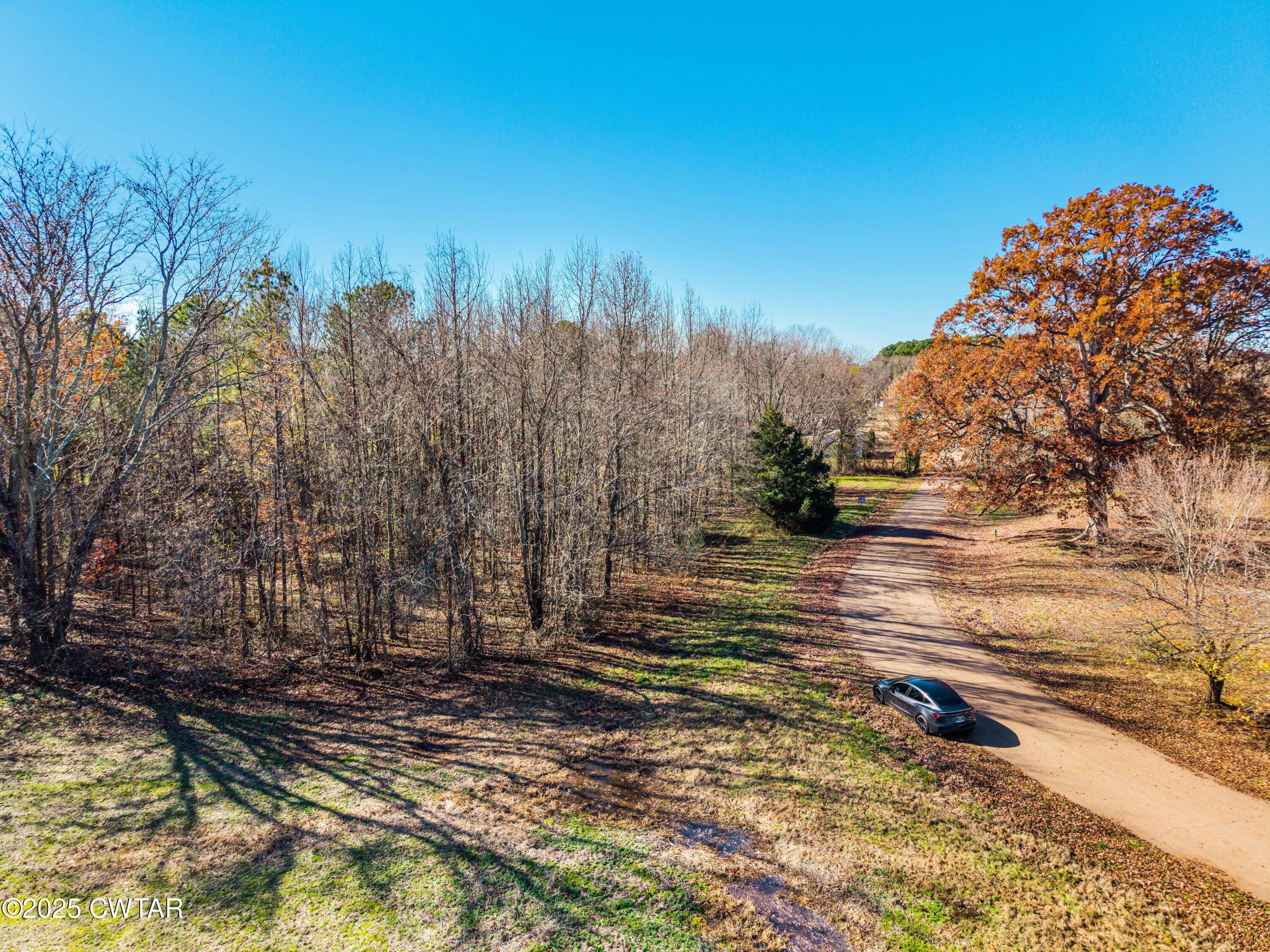 0 Hamilton Drive Martin, TN 38237 - Photo 5 of 7 a view of a forest with trees