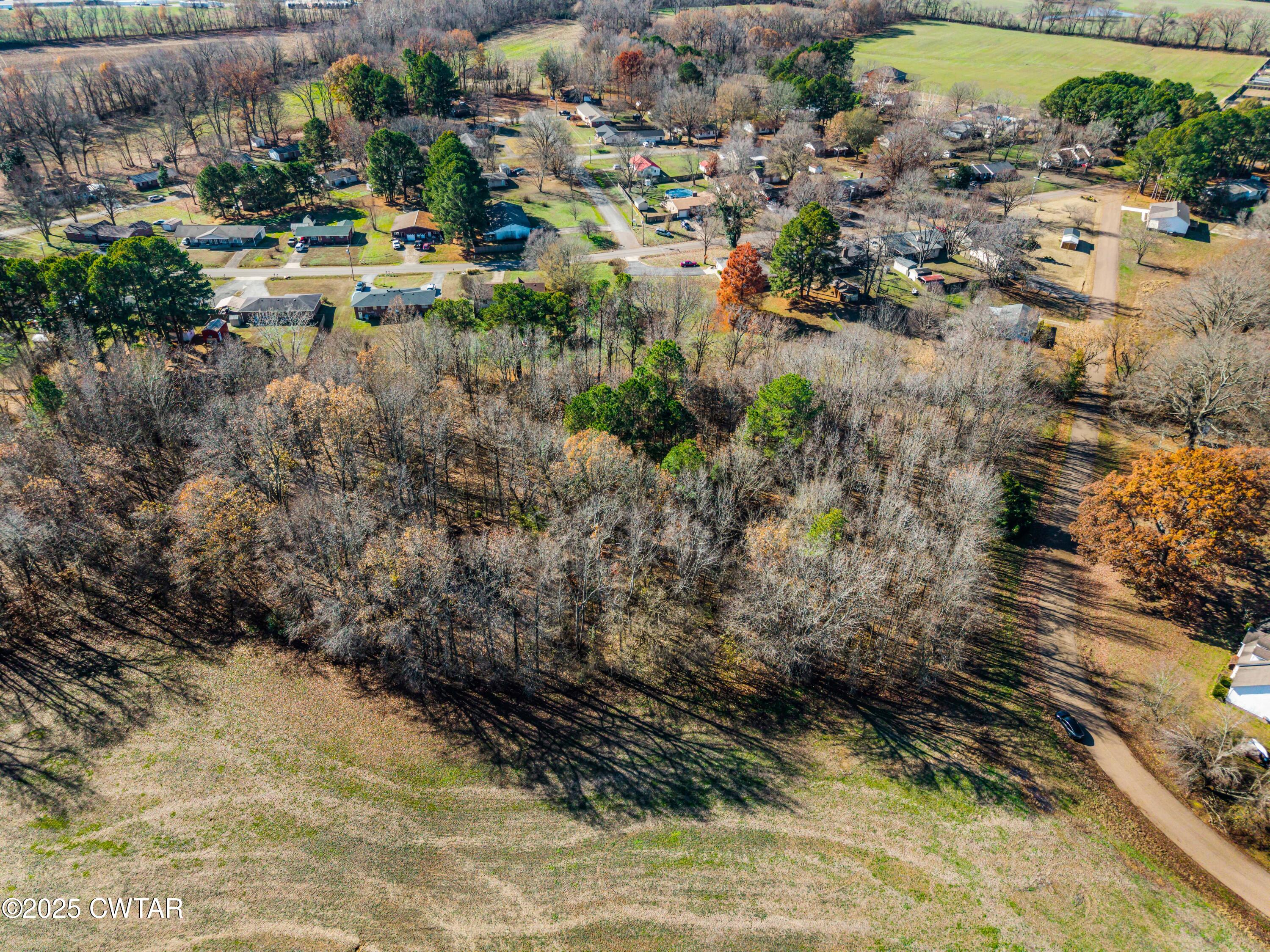 0 Hamilton Drive Martin, TN 38237 - Photo 7 of 7 a view of outdoor space and yard