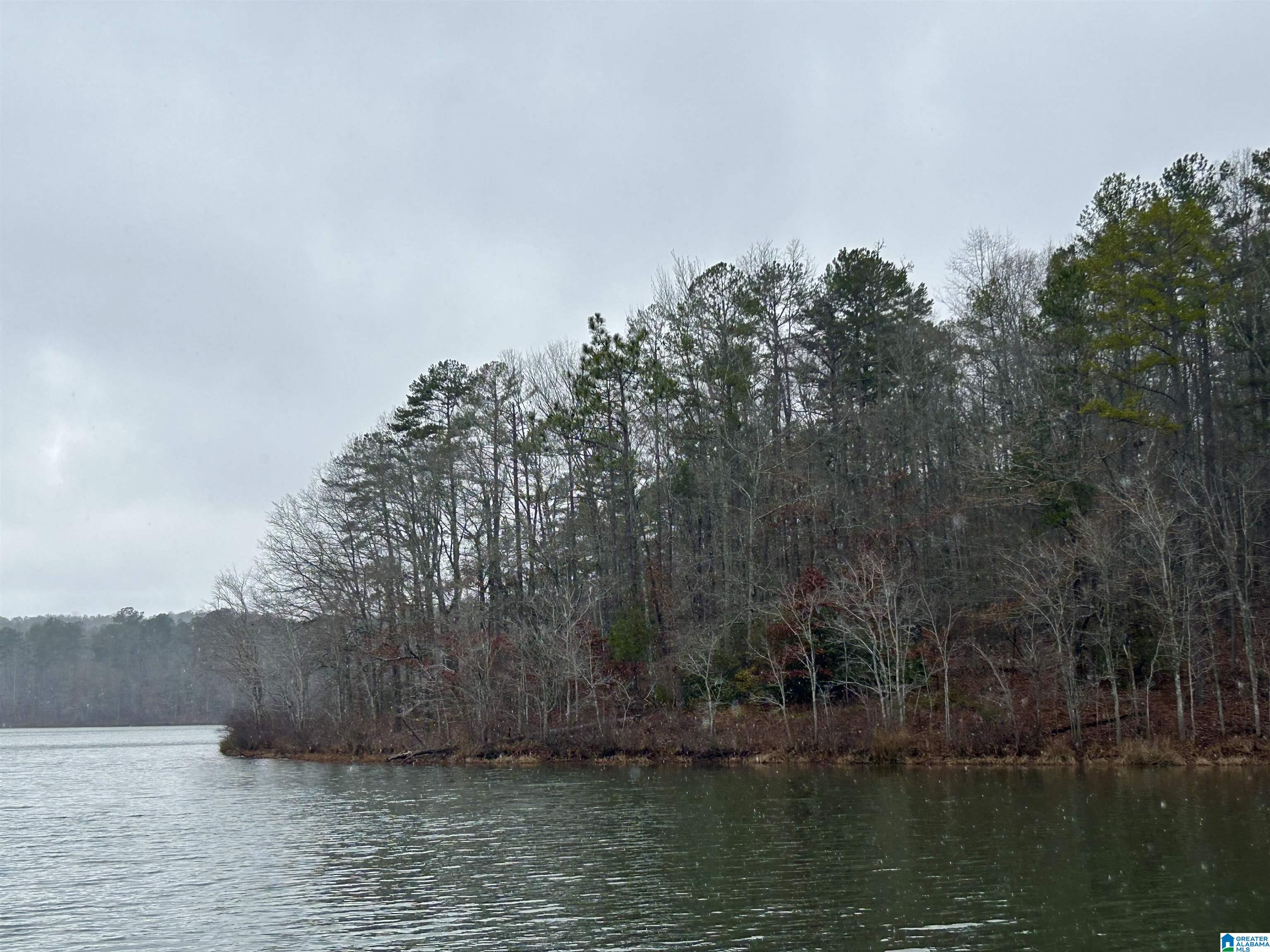 0 Olive Branch Road, Unit 25 Ashland, AL 36251 - Photo 14 of 15
