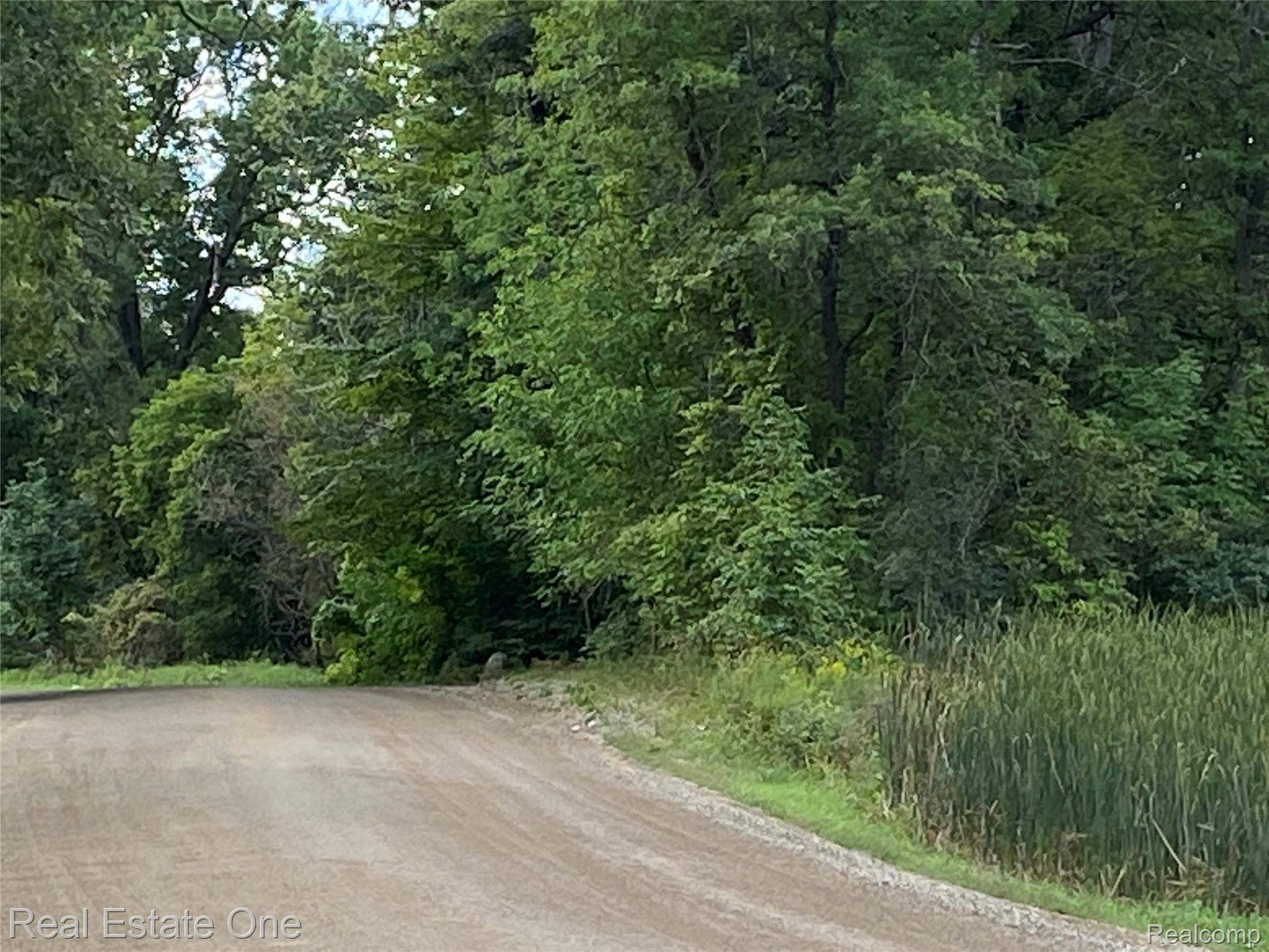0 Rattalee Lake Road Davisburg, MI 48350 - Photo 5 of 6 IMG-0194.jpg