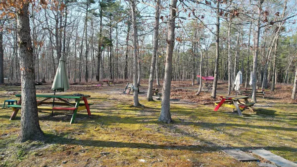 a view of park with large trees