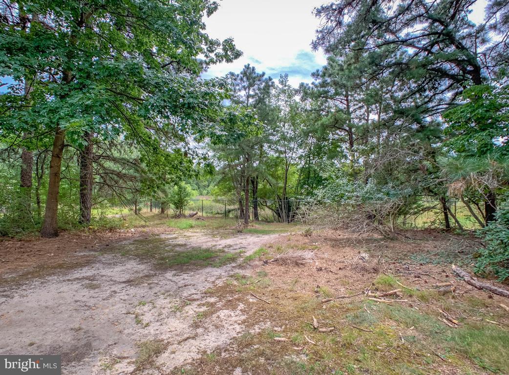 26 Augusta Road Whiting, NJ 08759 - Photo 14 of 16 Wooded backyard