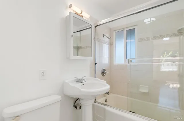 a view of a yard with plants and trees