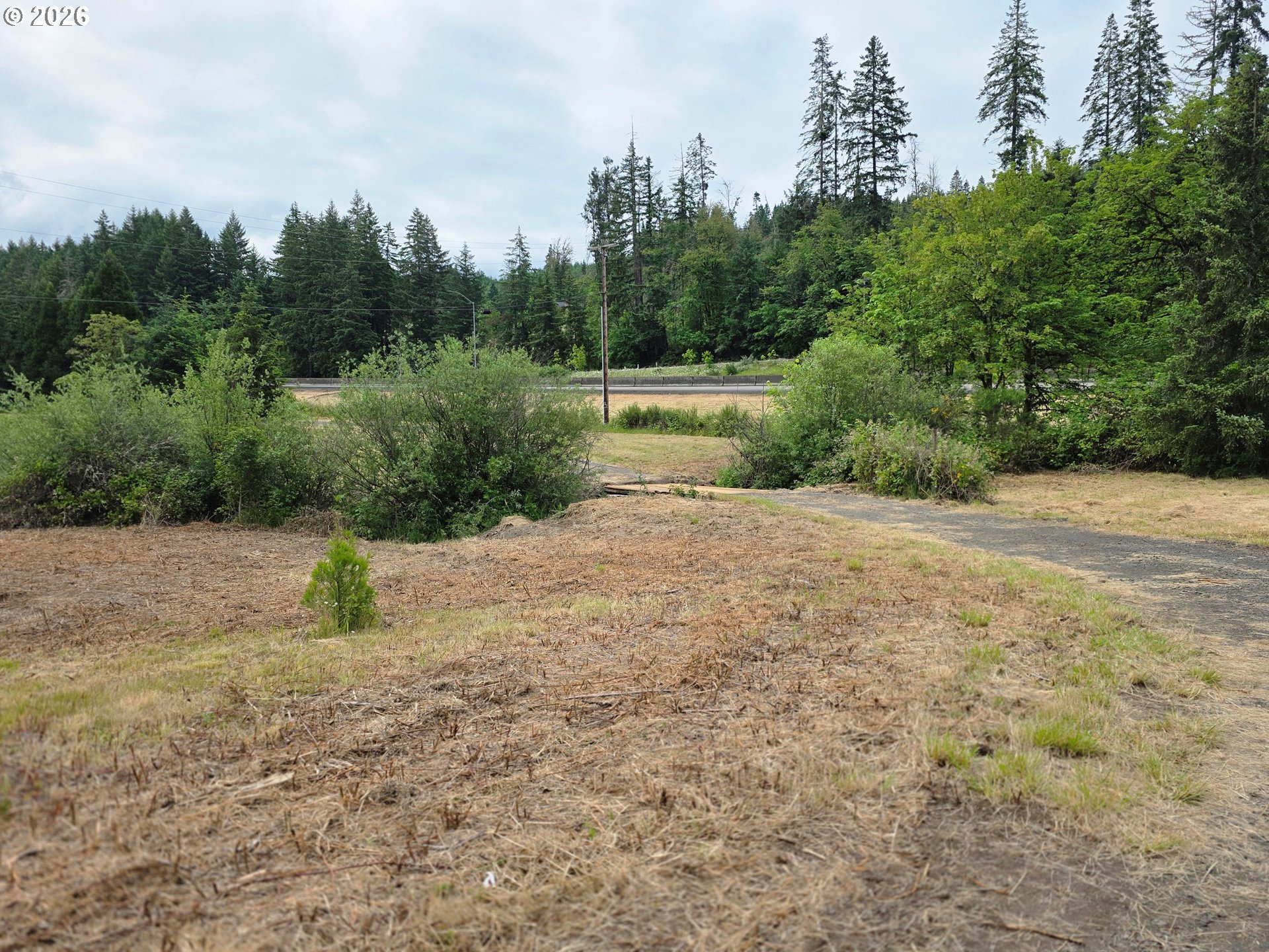 920 Buck Creek Road Drain, OR 97435 - Photo 11 of 18