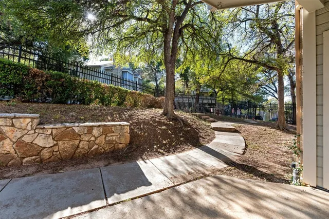 a view of a yard with plants and trees