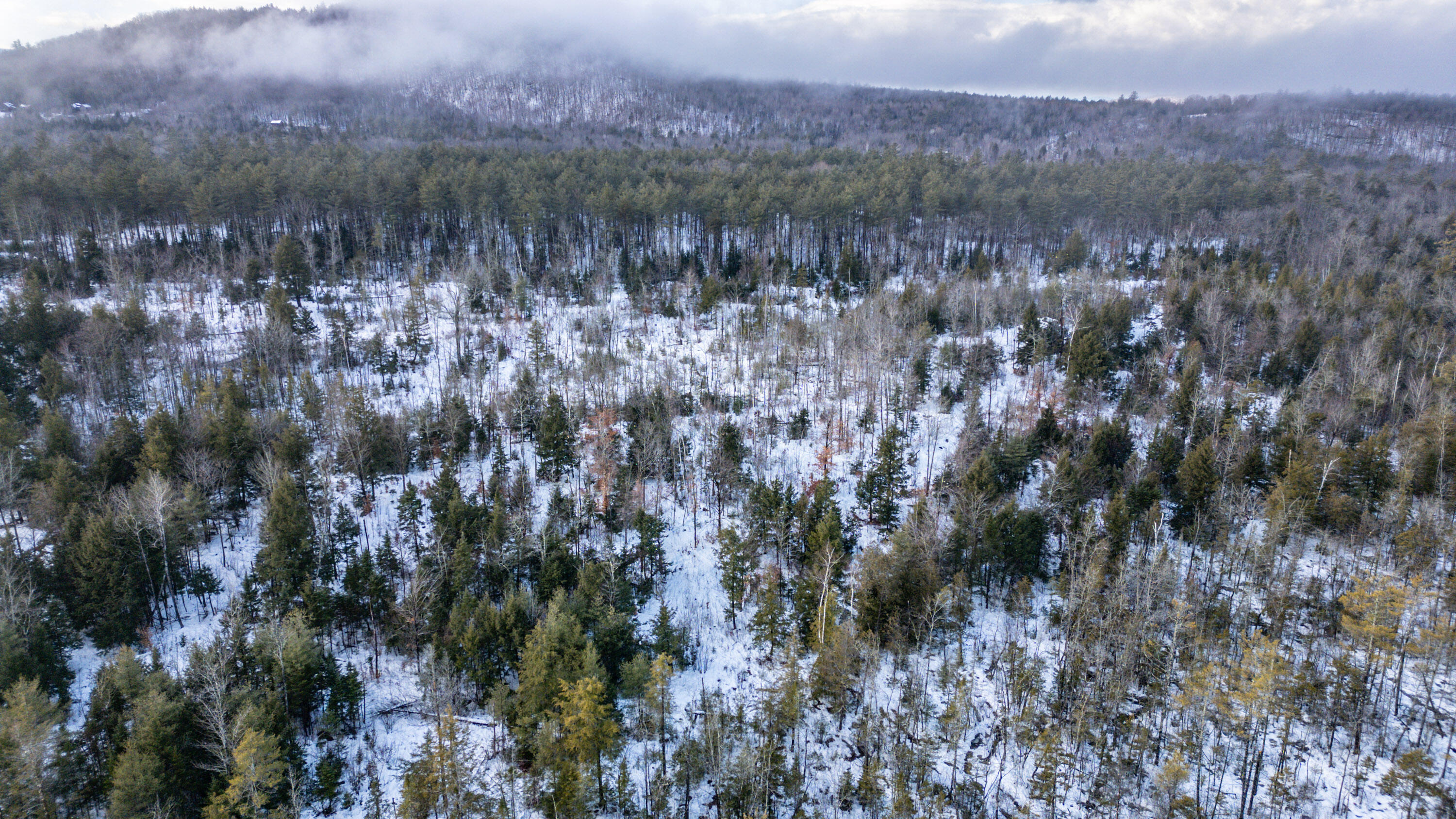 Lot 7-001 Crouse Road Bethel, ME 04217 - Photo 18 of 21 20241217gp-61017