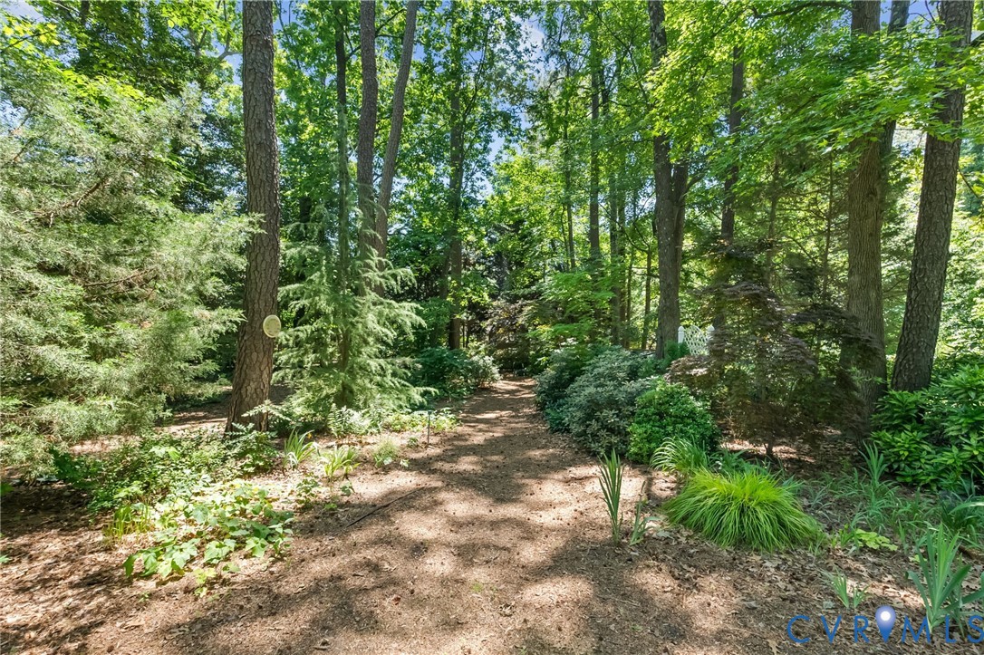 5701 Elfinwood Road Chester, VA 23831 - Photo 47 of 52