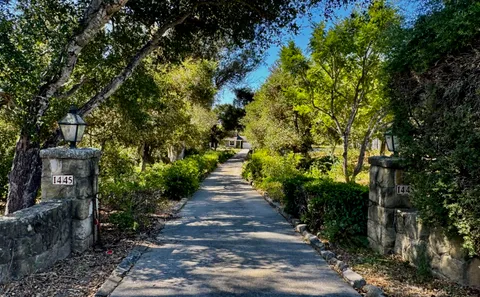a view of a pathway both side of yard