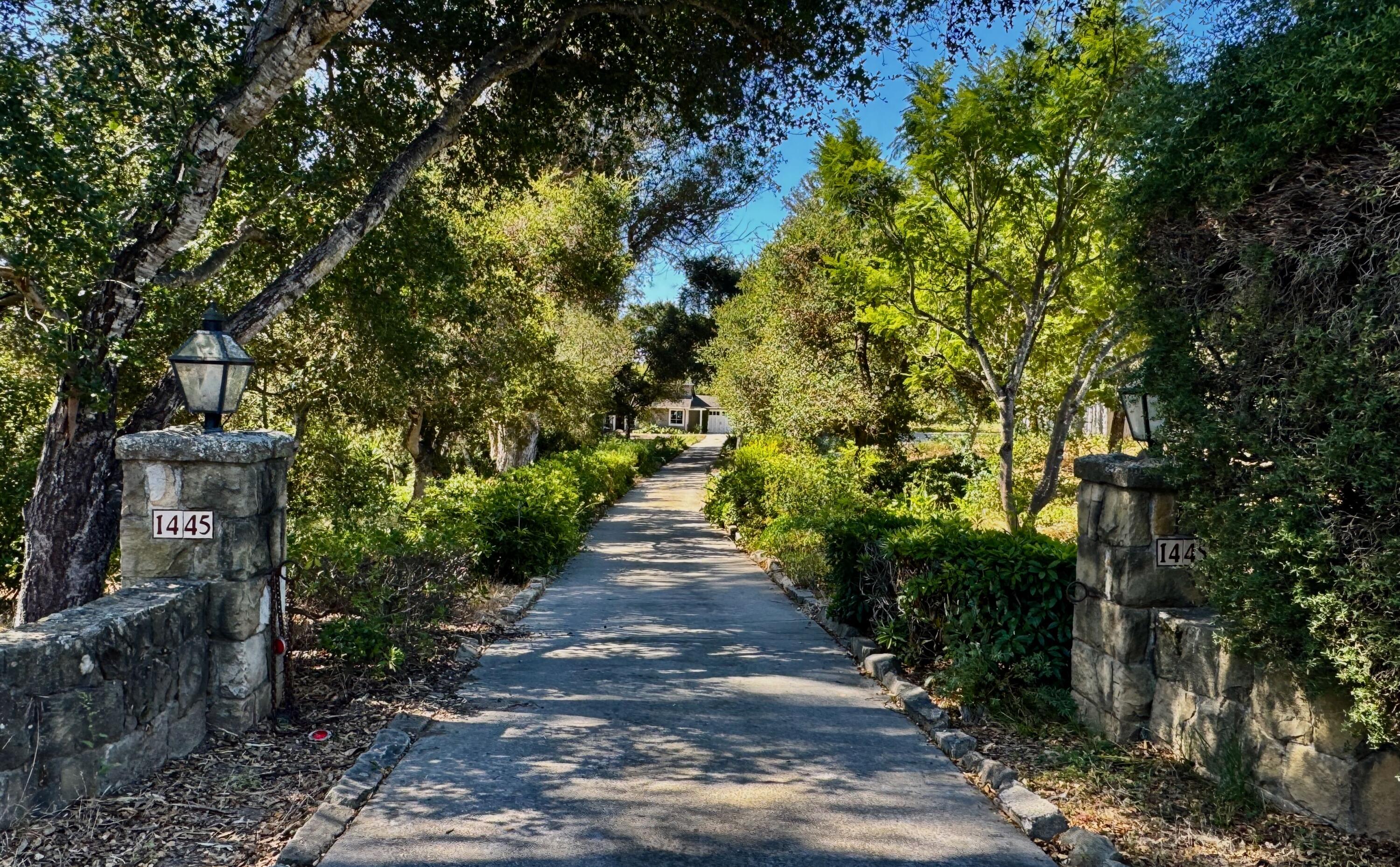 a view of a pathway both side of yard