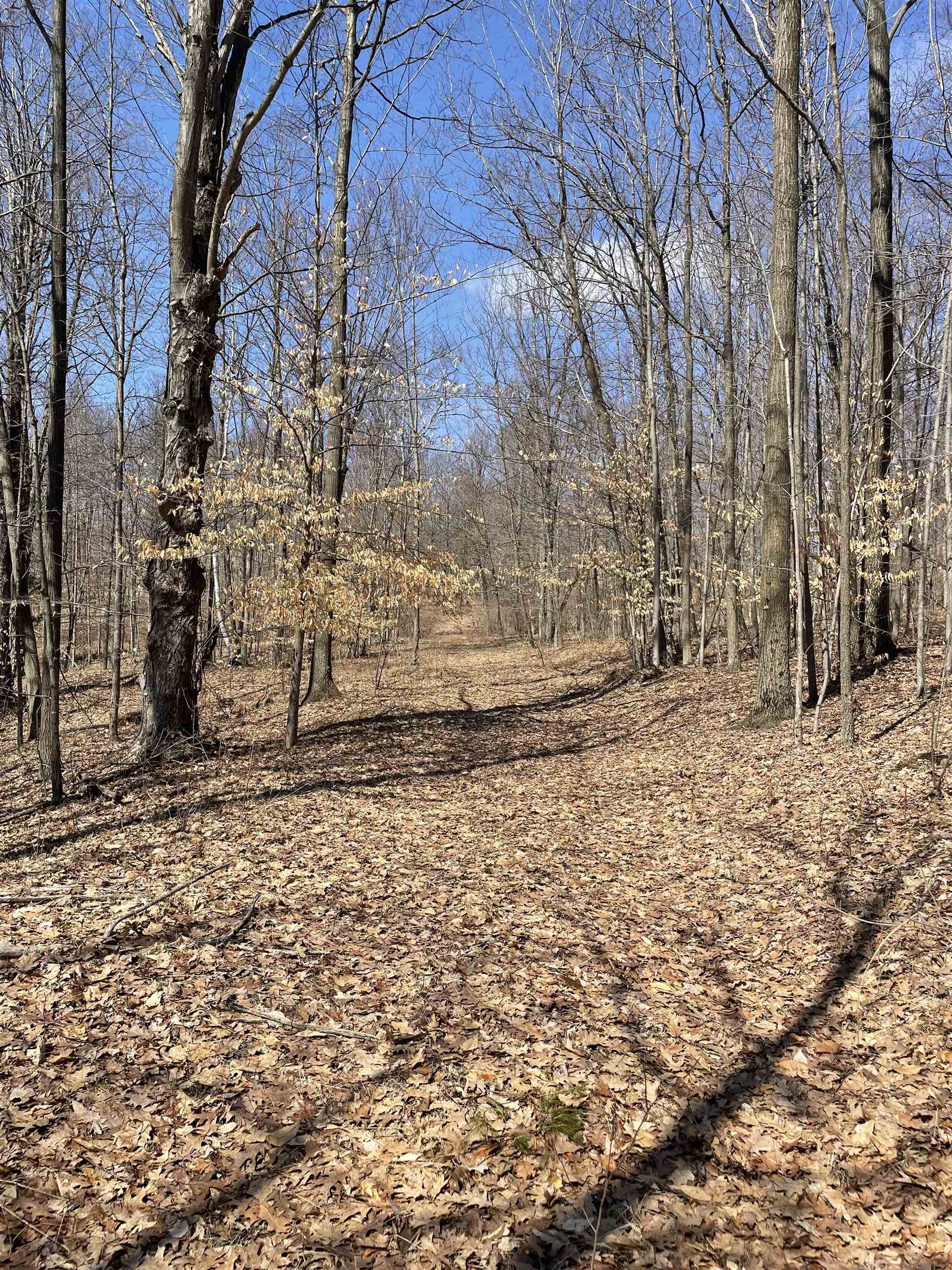 Tbd Tbd Rock Roads Clare, MI 48617 - Photo 3 of 10 Gallery Image 3