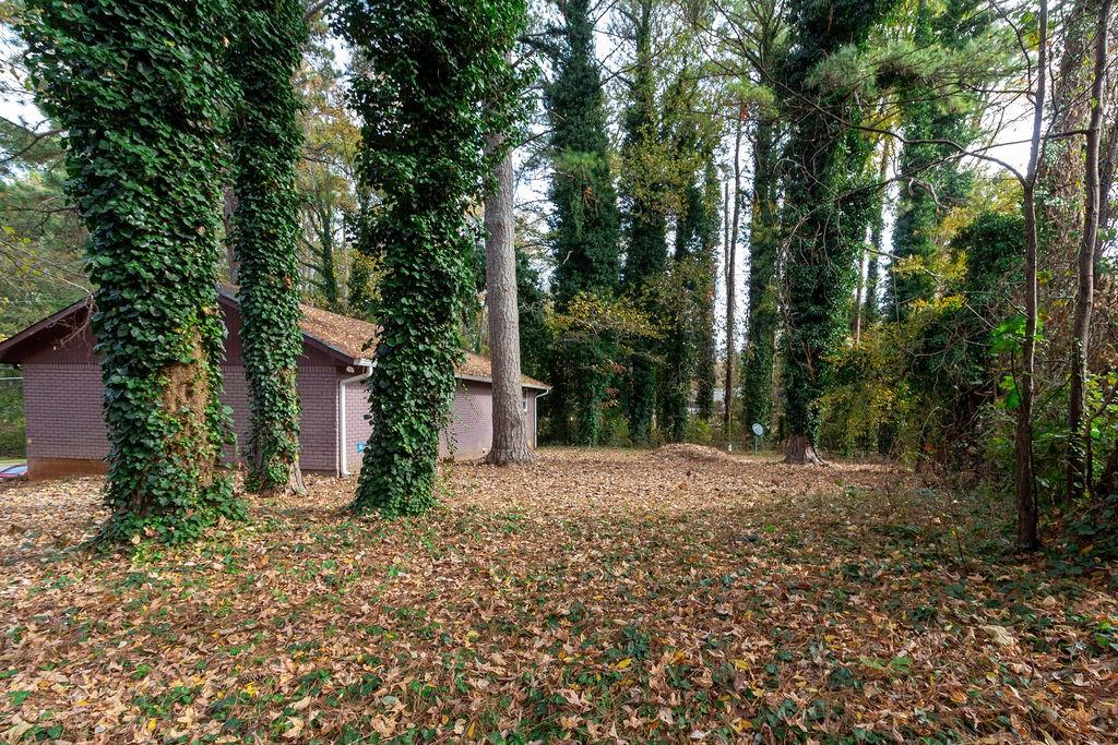 687 Utoy Court Jonesboro, GA 30238 - Photo 3 of 4