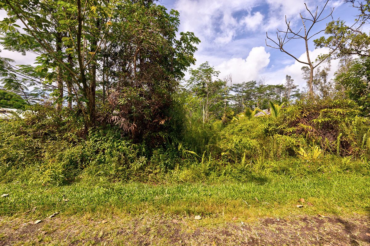 Seadrift Road Pahoa, HI 96778 - Photo 4 of 8 Gallery Image 4