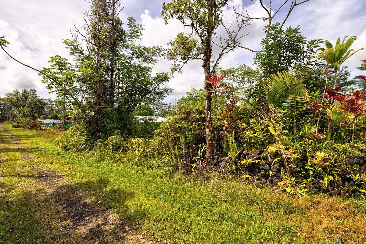 Seadrift Road Pahoa, HI 96778 - Photo 5 of 8 Gallery Image 5