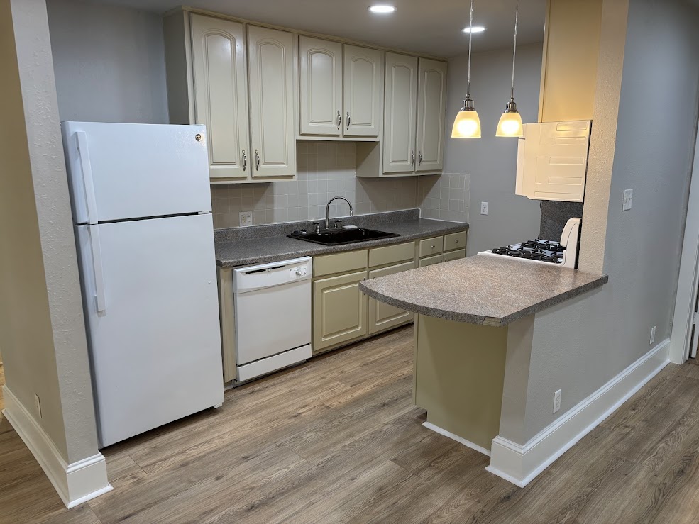 505 Clarke Street Austin, TX 78745 - Photo 6 of 17