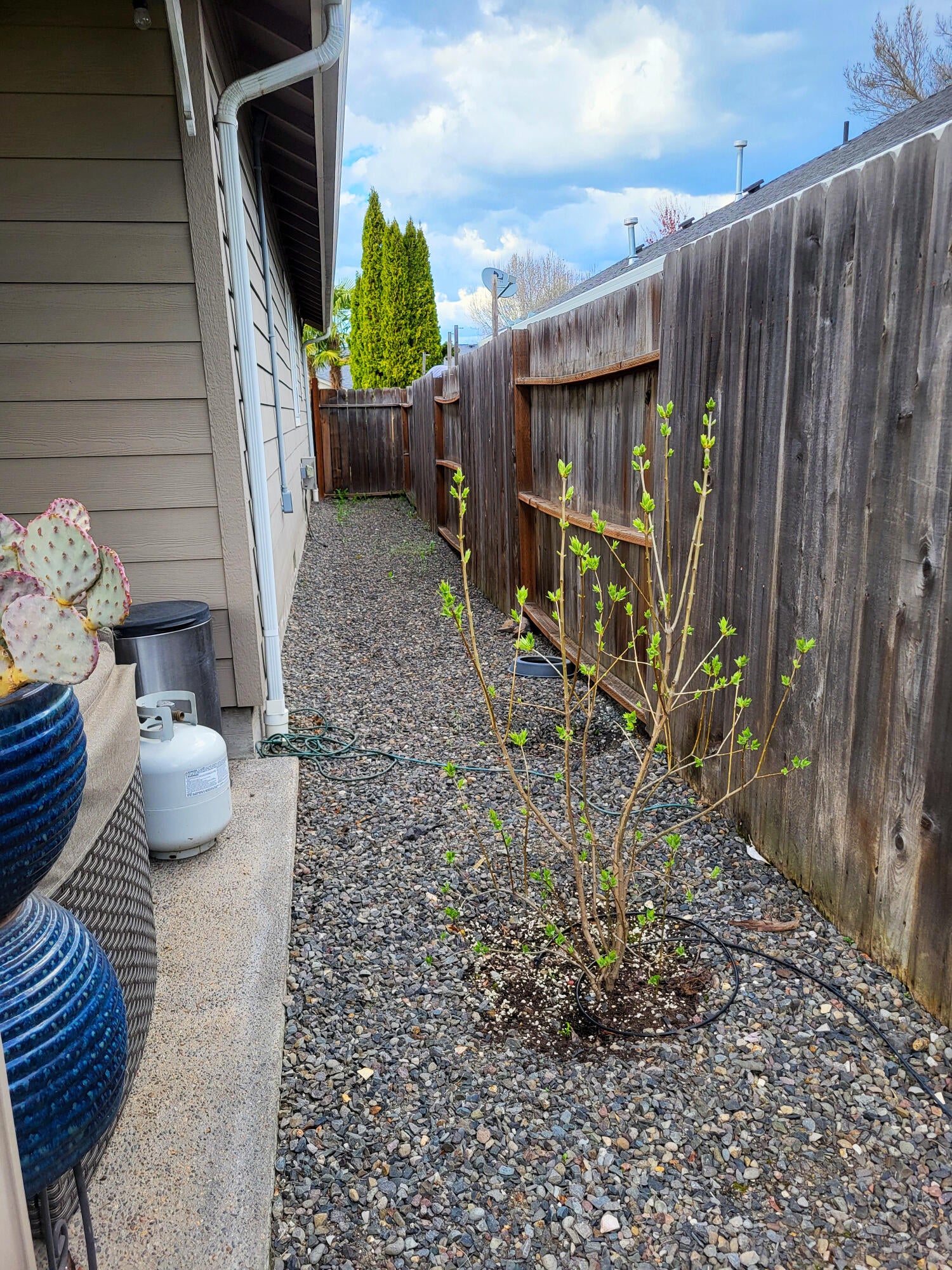 828 Easy Way Central Point, OR 97502 - Photo 56 of 58 56
