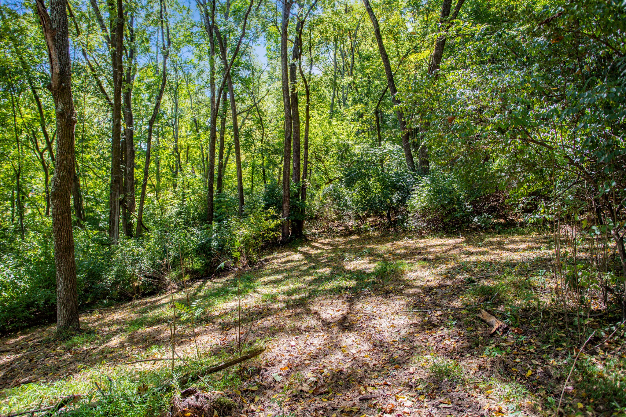 2185 South Berrys Chapel Road Franklin, TN 37069 - Photo 22 of 24 Gallery Image 22