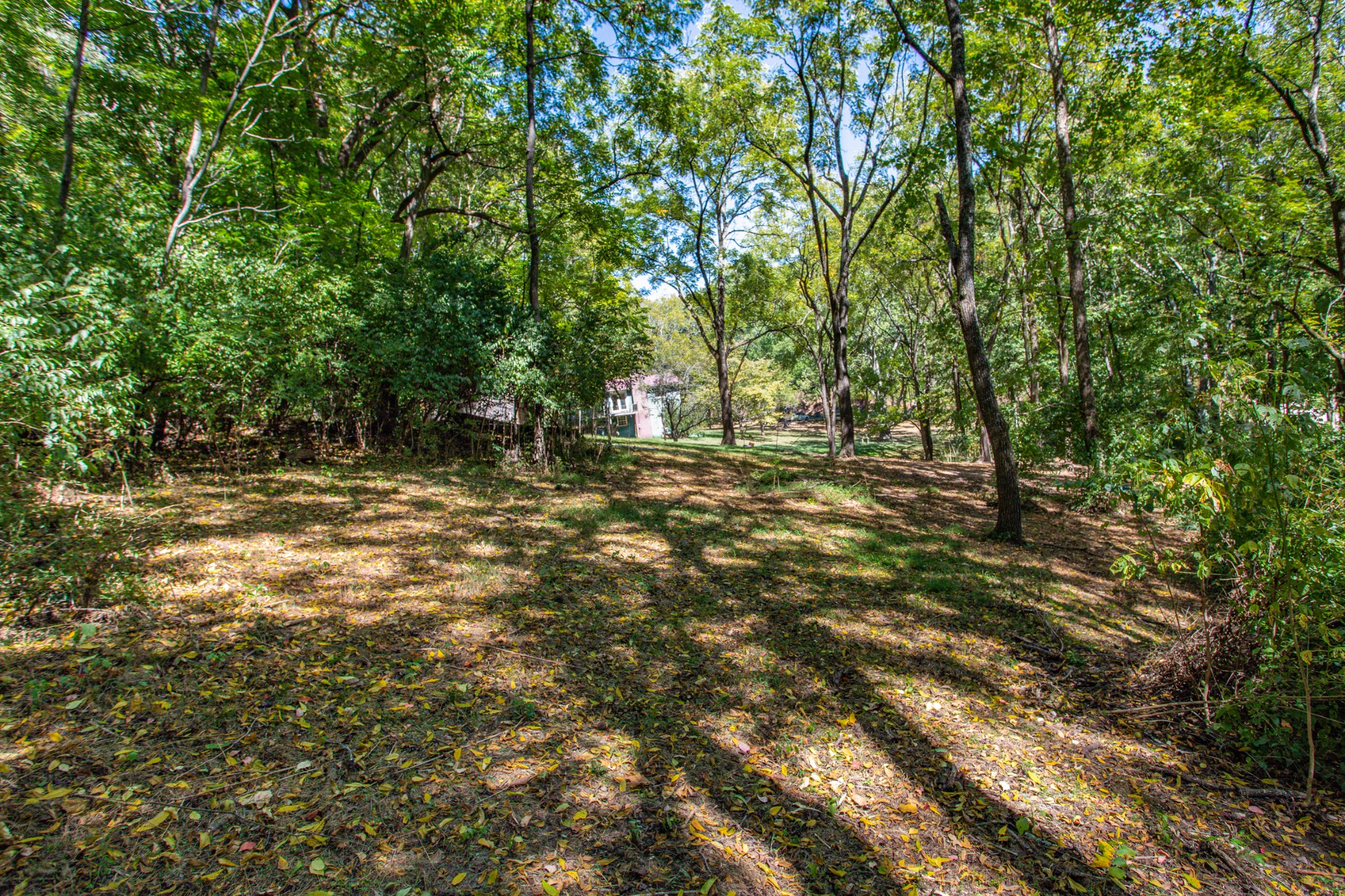 2185 South Berrys Chapel Road Franklin, TN 37069 - Photo 3 of 24 Gallery Image 3