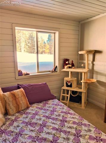 1251 Ridge Road Divide, CO 80814 - Photo 8 of 31 Gallery Image 8