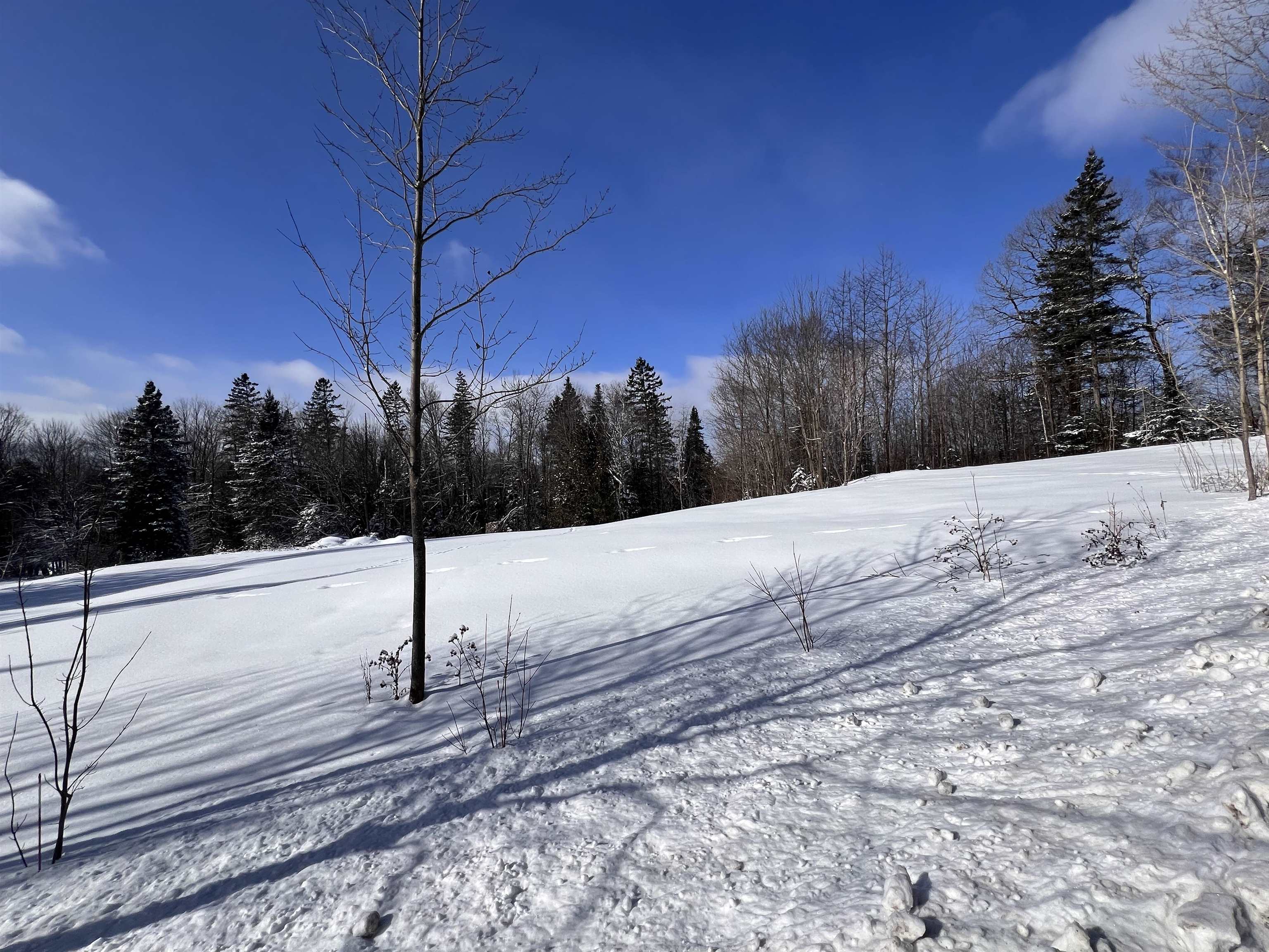 278 Mosher Road Sheffield, VT 05866 - Photo 2 of 4 Gallery Image 2