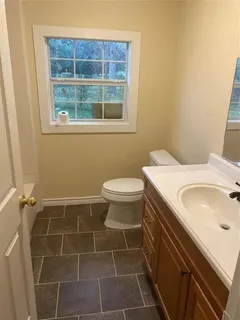 a bathroom with a sink a toilet and a mirror