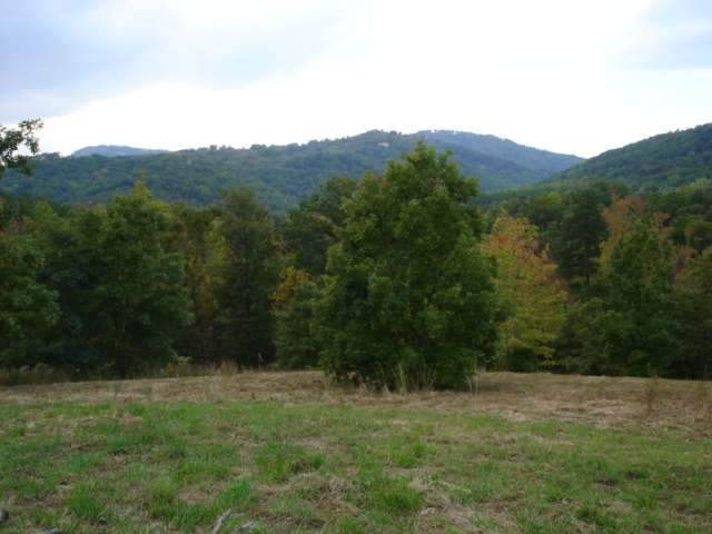 Lot 6 Oak Grove Road Landrum, SC 29356 - Photo 3 of 16
