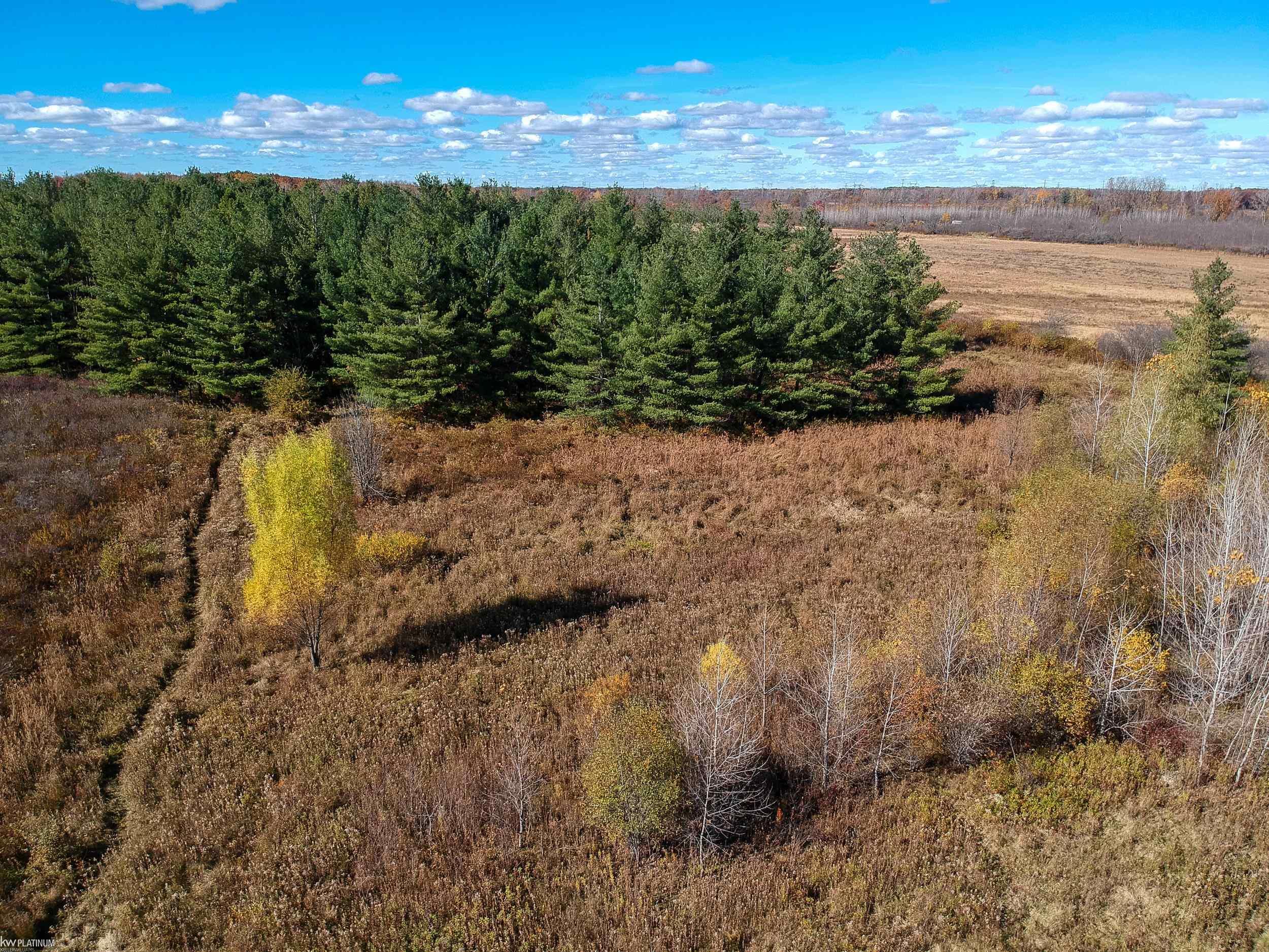 0 Duce Road Avoca, MI 48006 - Photo 10 of 17