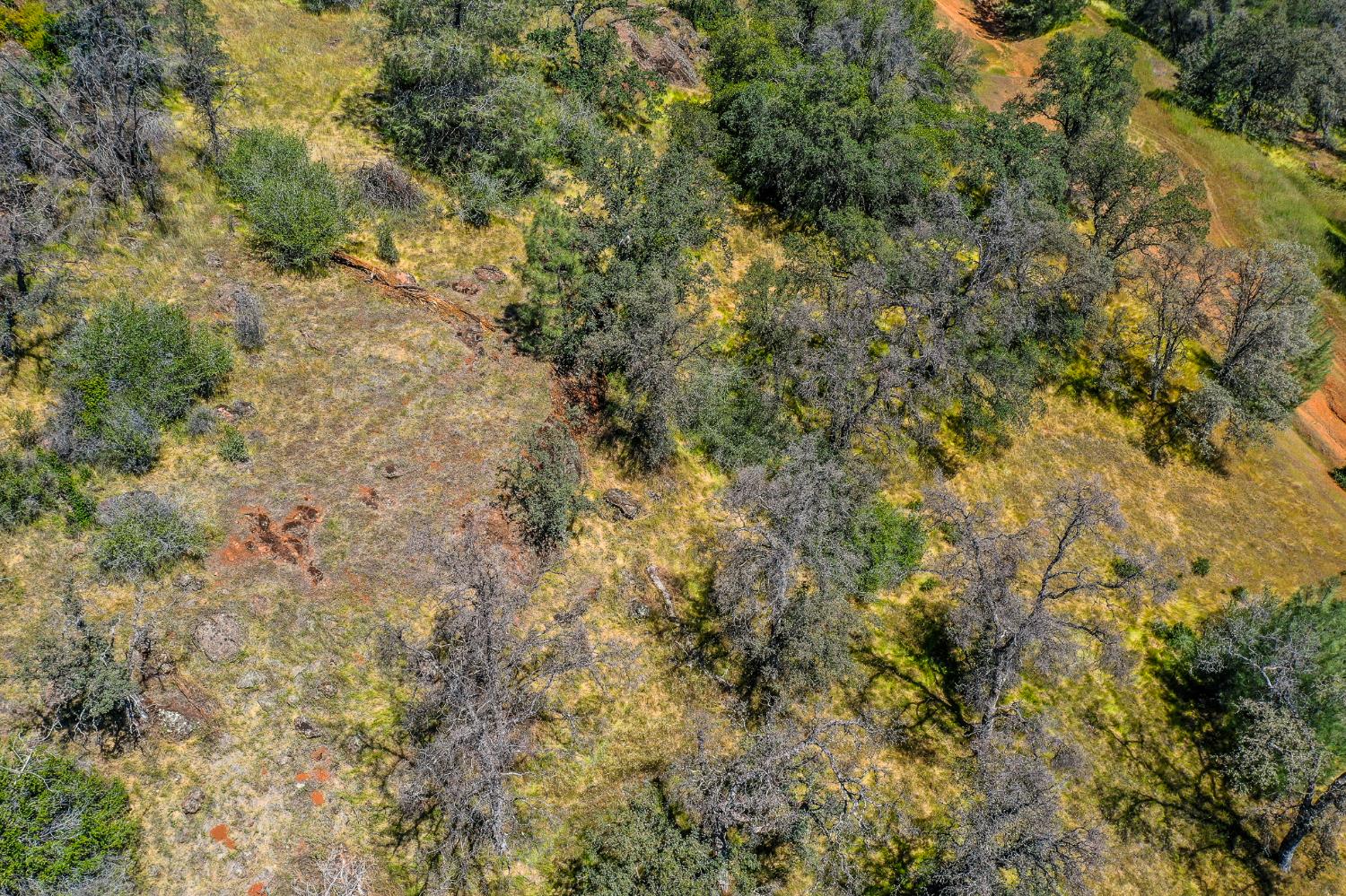 29 Township Road Browns Valley, CA 95918 - Photo 51 of 62 Gallery Image 51