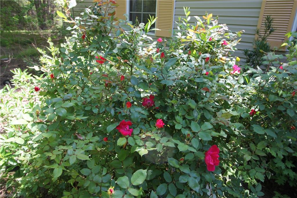 229 Chal Smith Road Mocksville, NC 27028 - Photo 19 of 20 Gallery Image 19