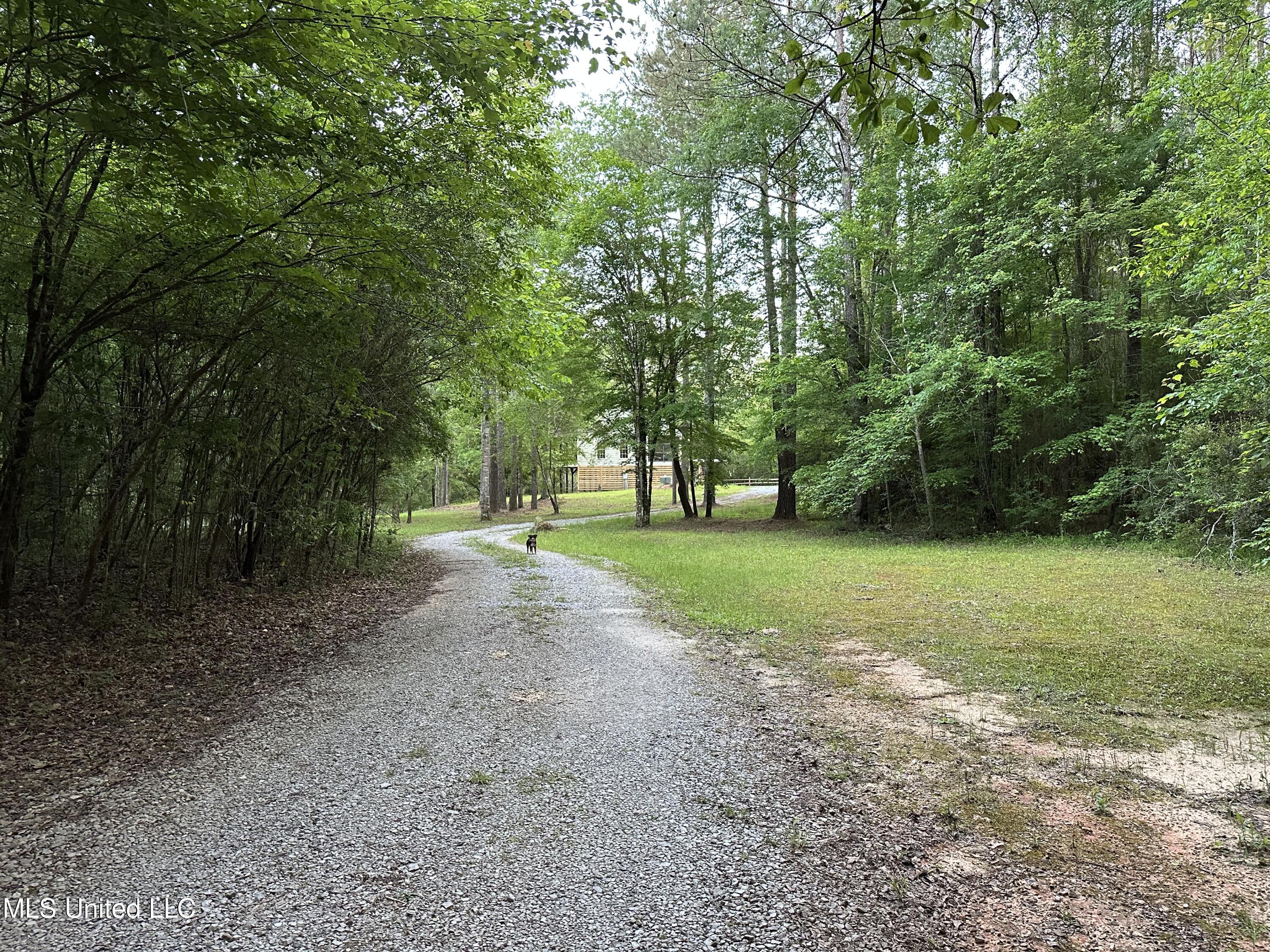 965 Seminary-Sumrall Road Seminary, MS 39479 - Photo 57 of 67 B6F0CD36-DCAB-4025-9A0F-7929AAE5CCC8
